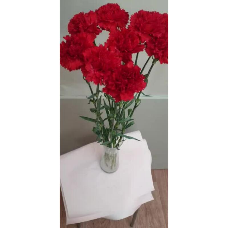 Гвоздика 9шт, красная