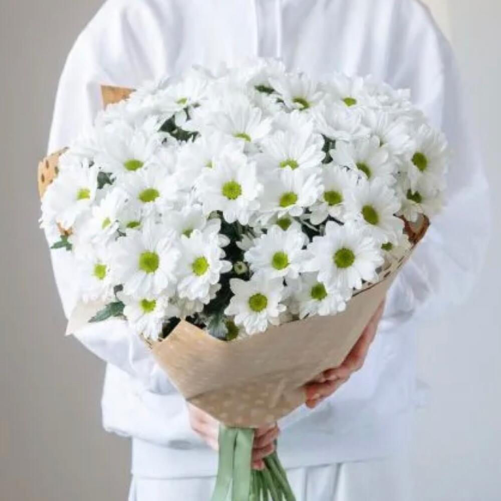 хризантемы