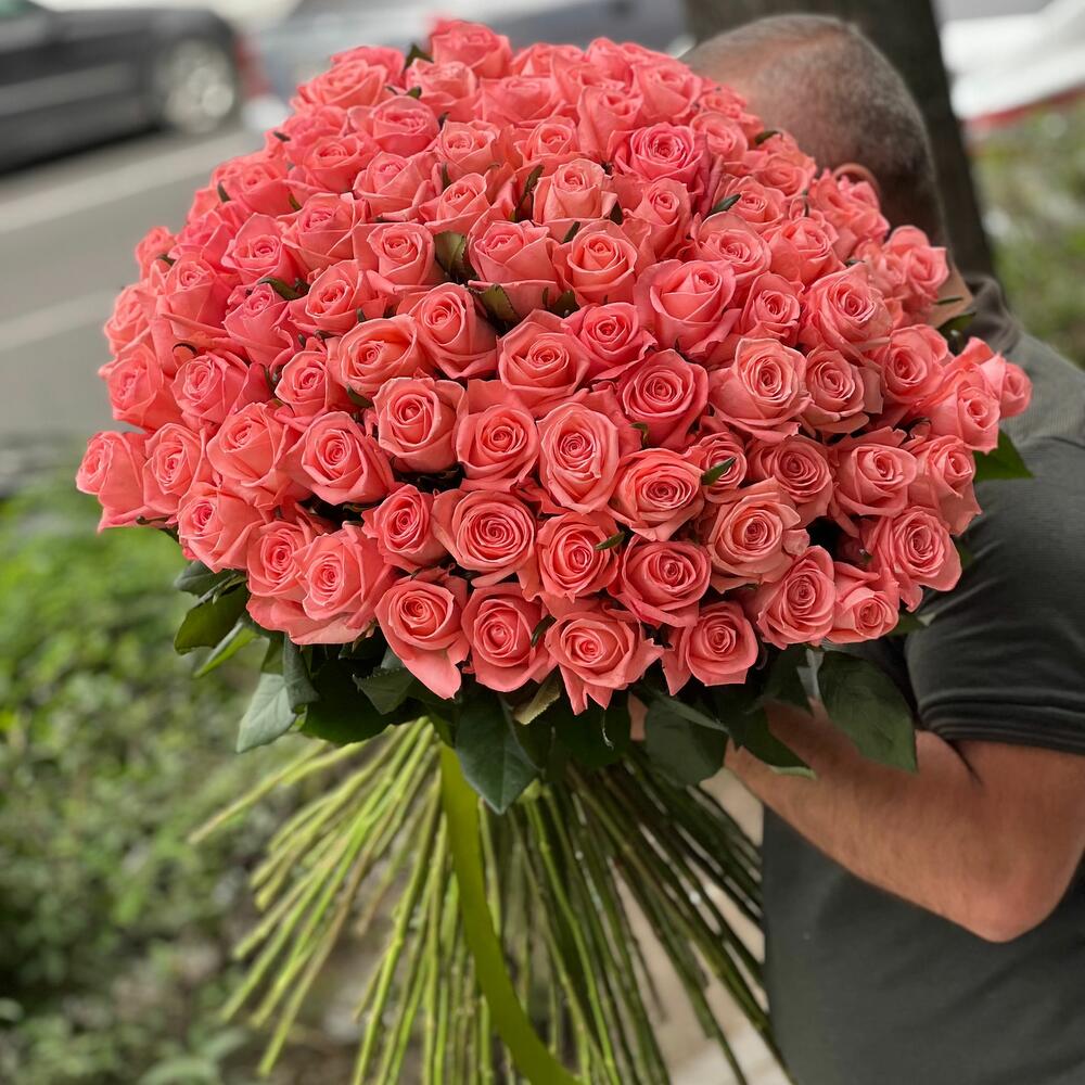 101 роза Анна Карина